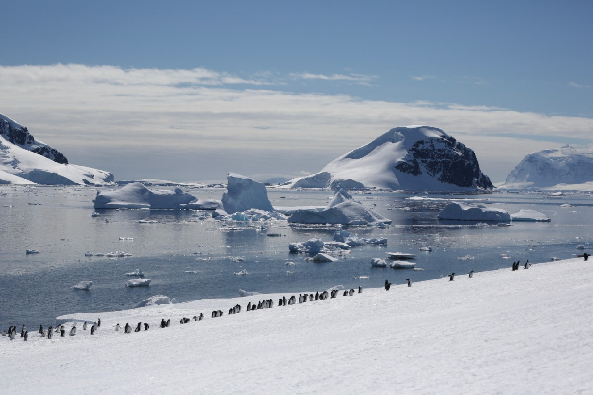南极洲 - - 发现和学习之旅